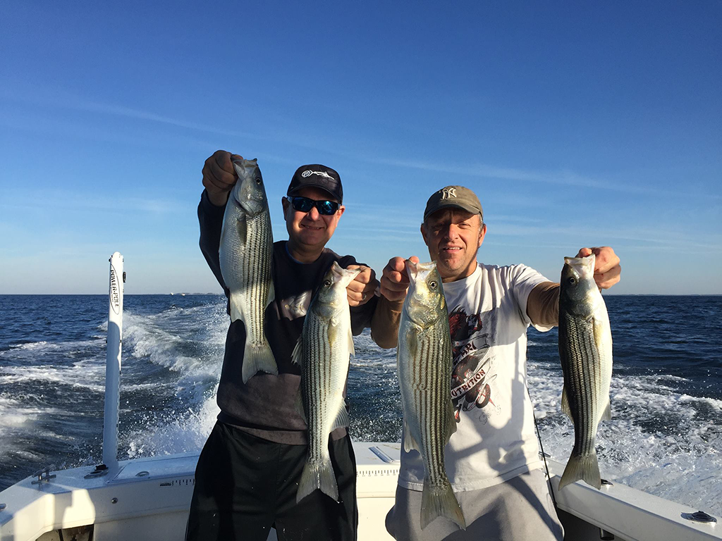 Stripers - Chilly Stripers - Peninsula Salt Water Sport