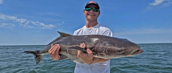 Cobia Fisherman small