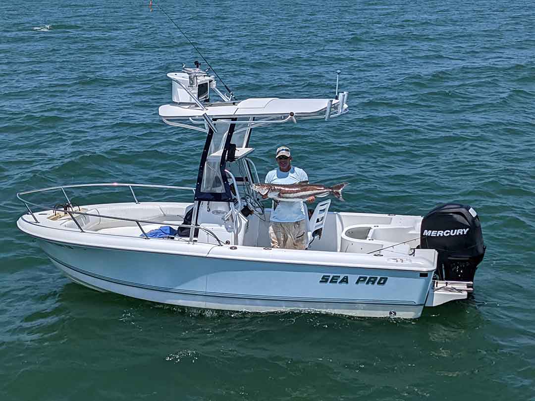 cobia-on-boat
