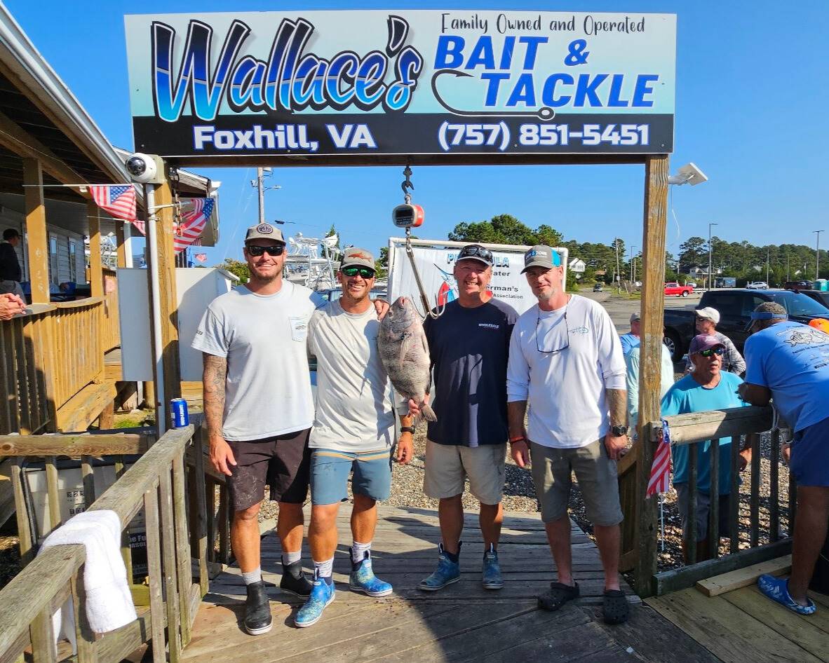 Sheepshead Tournament