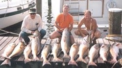 Irv Fenton, Robert Bondurant, and past president Brent Meadors with some impressive red drum, 30-49 pounds.
